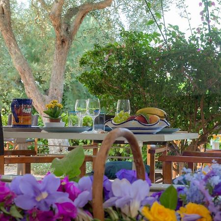 Casa Vacanze Il Bacio Piano di Sorrento Bagian luar foto